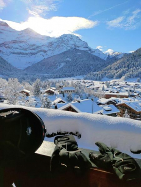 Studio avec vue splendide sur les Diablerets